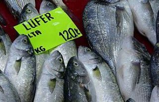 Lüferin kilogram fiyatı bir haftada 60 lira düştü