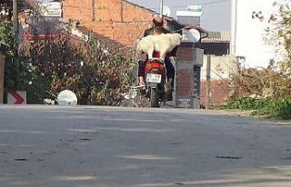 Motosiklet hastası köpeği görenler şaşıp kalıyor