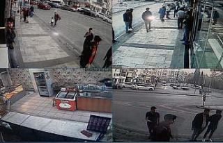 ’O’ köpeğin sahibine 7 bin 802 lira para cezası...