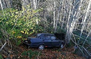 Ormanlık alana uçan otomobil ağaçlara takıldı:...