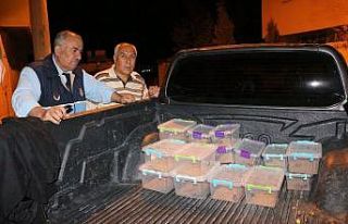 Polis baskınında ortaya çıktı, evde 217 akrep...