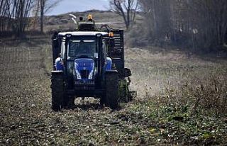Şeker pancarı üreticileri, firmanın yüksek fire...