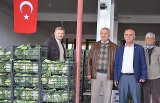 Sıcak havalar kışlık sebzeyi vurdu