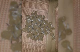 Silopi’de uyuşturucu operasyonu