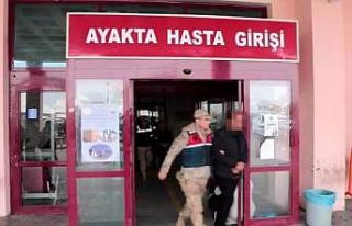 Teröristlere yardım eden 7 kişi gözaltına alındı