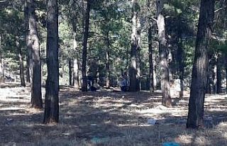 Uyuşturucu tacirleri kaçacak delik aradı