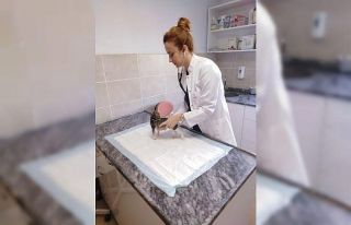 Yavru kediye fıtık ameliyatı yapıldı