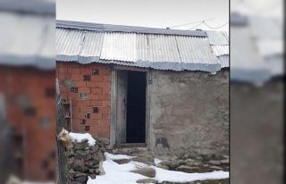 Yaylaya giden vatandaşlar şok yaşadı