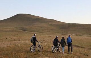 Yılkı atlarını korumak için belgesel çekiyorlar