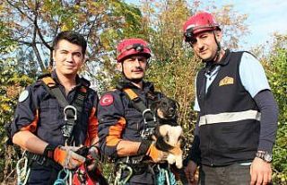 30 metrelik kuyuya düşen yavru köpek operasyonla...