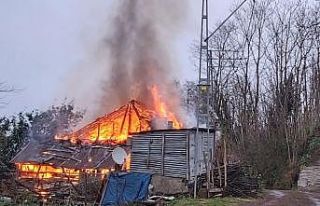 95 yaşındaki şahıs yangında can verdi