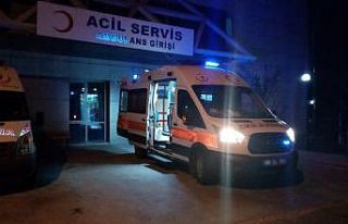 Anne ve oğlu mantardan zehirlendi