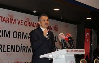 Bakan Pakdemirli: “2020 yılı bütçesinin 54,5’i...