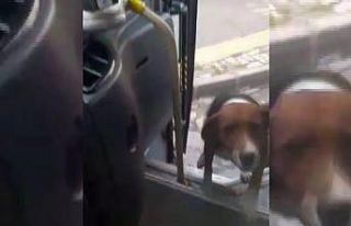 Bir bardak suyla başlayan dostluk