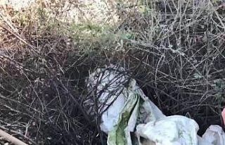 Diyarbakır’da Kıran-11 Operasyonu başlatıldı