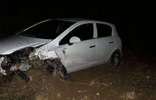 Domuz sürüsüne çarpan otomobilde 4 kişi yaralandı