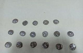 Erzincan’da Roma dönemine ait tarihi sikke ele...