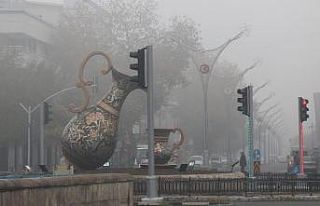 Erzincan’ı sis kapladı