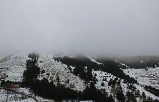 Erzurum güne sis ile uyandı