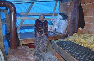 Evi yanan yaşlı kadın çadırda yaşam mücadelesi...