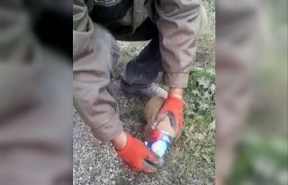 Havlayan köpeğin peşinden giden sürücüler gözlerine...