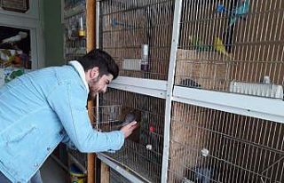İçindeki hayvan sevgisi mesleğinin önüne geçti