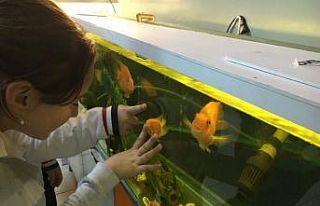 İki sırtında da kalp şekli oluşan balık ilgi...