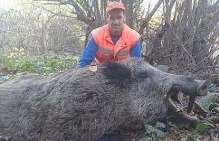 İnegöl’de avcılar 300 kiloluk yaban domuzu vurdu