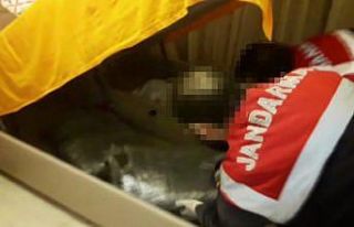 Jandarmadan 290 kiloluk uyuşturucu operasyonu