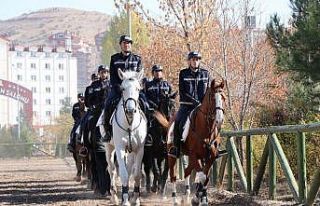 Kadın astsubaylar atları anne şefkati ile yetiştiriyor