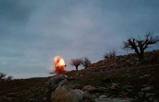 Köylüler buldu, jandarma imha etti