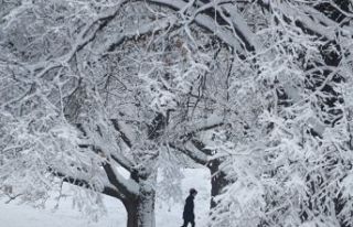Meteorolojiden kar yağışı uyarısı