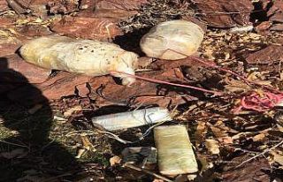 MSB: “Pençe-1 ve Pençe 2 harekatlarında silah,...