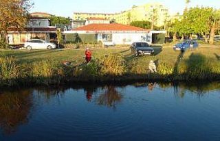 Oksijensiz kalan derede balıkların can çekiştiği...