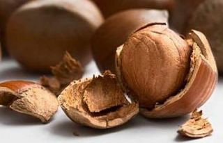 Ordu’da fındık fabrikası icralık oldu