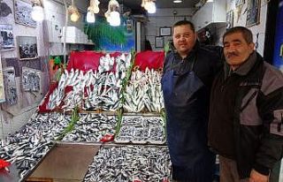 2019 yılı balıkçıların yüzünü güldürmedi