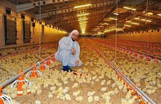 Gazetede gördü, devlet desteğiyle milyonluk tesis...