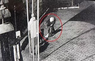 Tasmasının sıkışmasıyla boğulan köpeği dakikalarca...