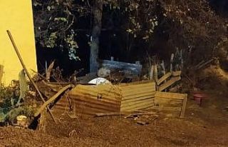 Şizofreni hastası kadın kocasını öldürdü