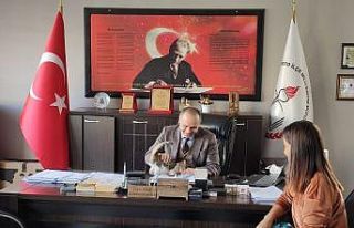 Soğukta kalan yavru kediye öğretmenler sahip çıktı