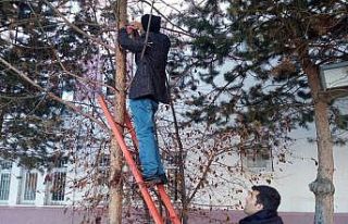 Sokak hayvanları için seferber oldular