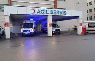 Tarım işçilerini taşıyan minibüs devrildi: 8...