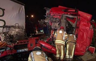 TEM Otoyolunda tır kamyona çarptı: 1 ölü, 1 yaralı