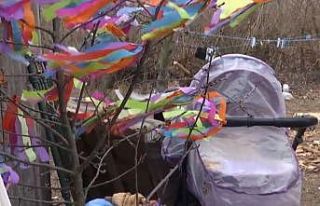 Ukrayna’da kedi 9 aylık bebeği boğarak öldürdü