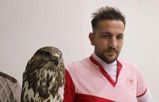 Yol kenarında yaralı halde buldu, 900 kilometre...