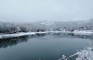 Yozgat Çamlığı Milli Parkı beyaza büründü