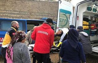 Zeytin toplamak için evden çıkan yaşlı kadın,...