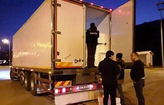 3 ilde 1,5 ton balığa el koyuldu