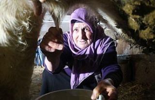 64 yaşındaki şair Latife teyze 25 kişiye rakip...