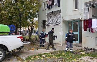 Adana’da sivrisinekle mücadeleye şimdiden başlandı